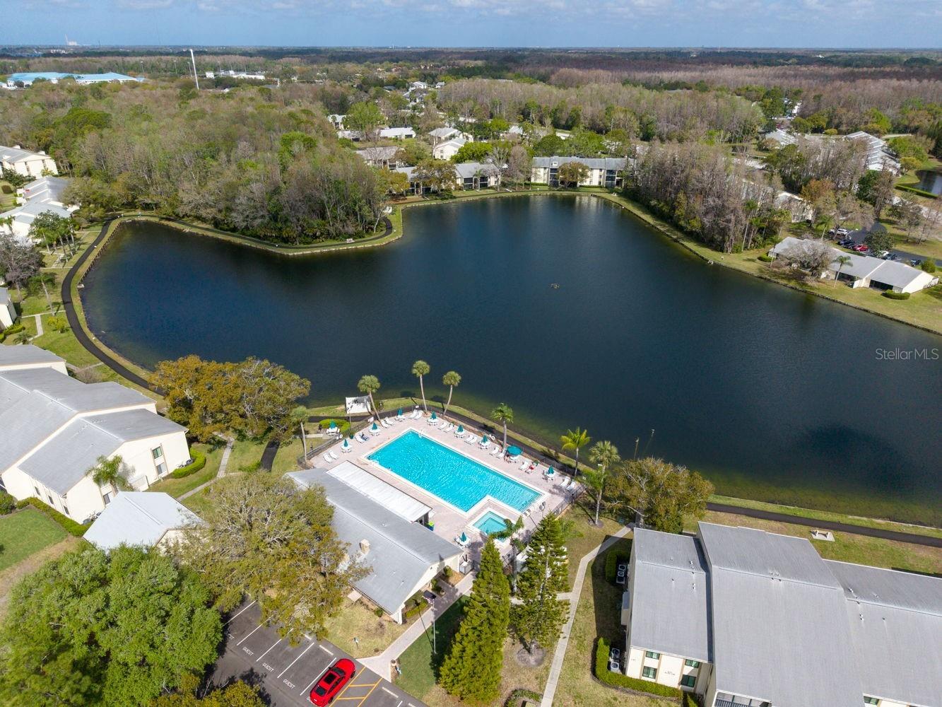 1400 Pine Glen Lane #D2 Tarpon Springs FL 34688 TB8486648 image36