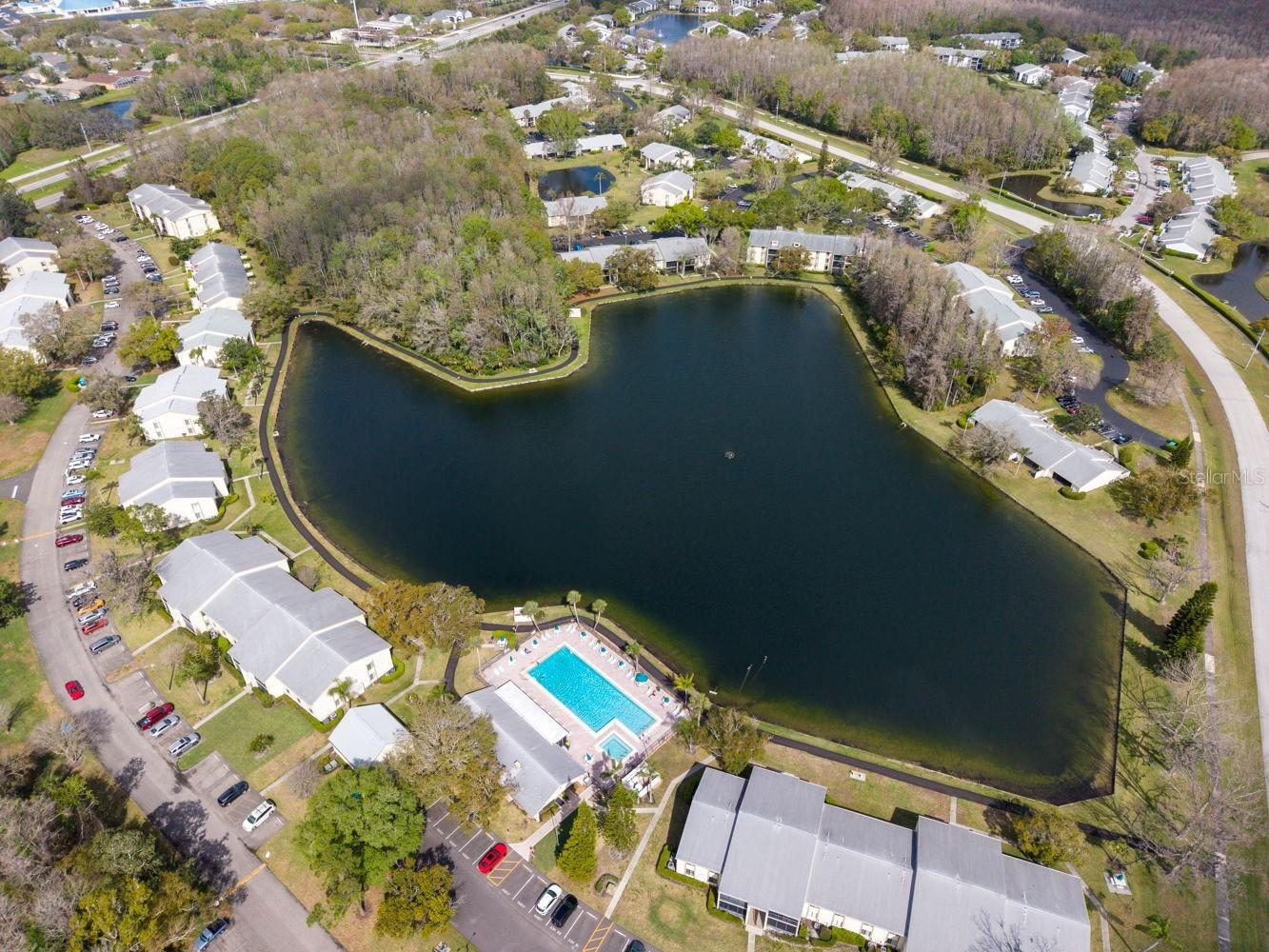 1400 Pine Glen Lane #D2 Tarpon Springs FL 34688 TB8486648 image37
