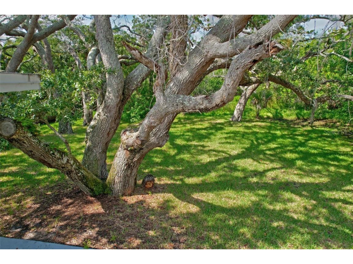 1400 S Flagler Avenue Flagler Beach FL 32136 FC303792 image37