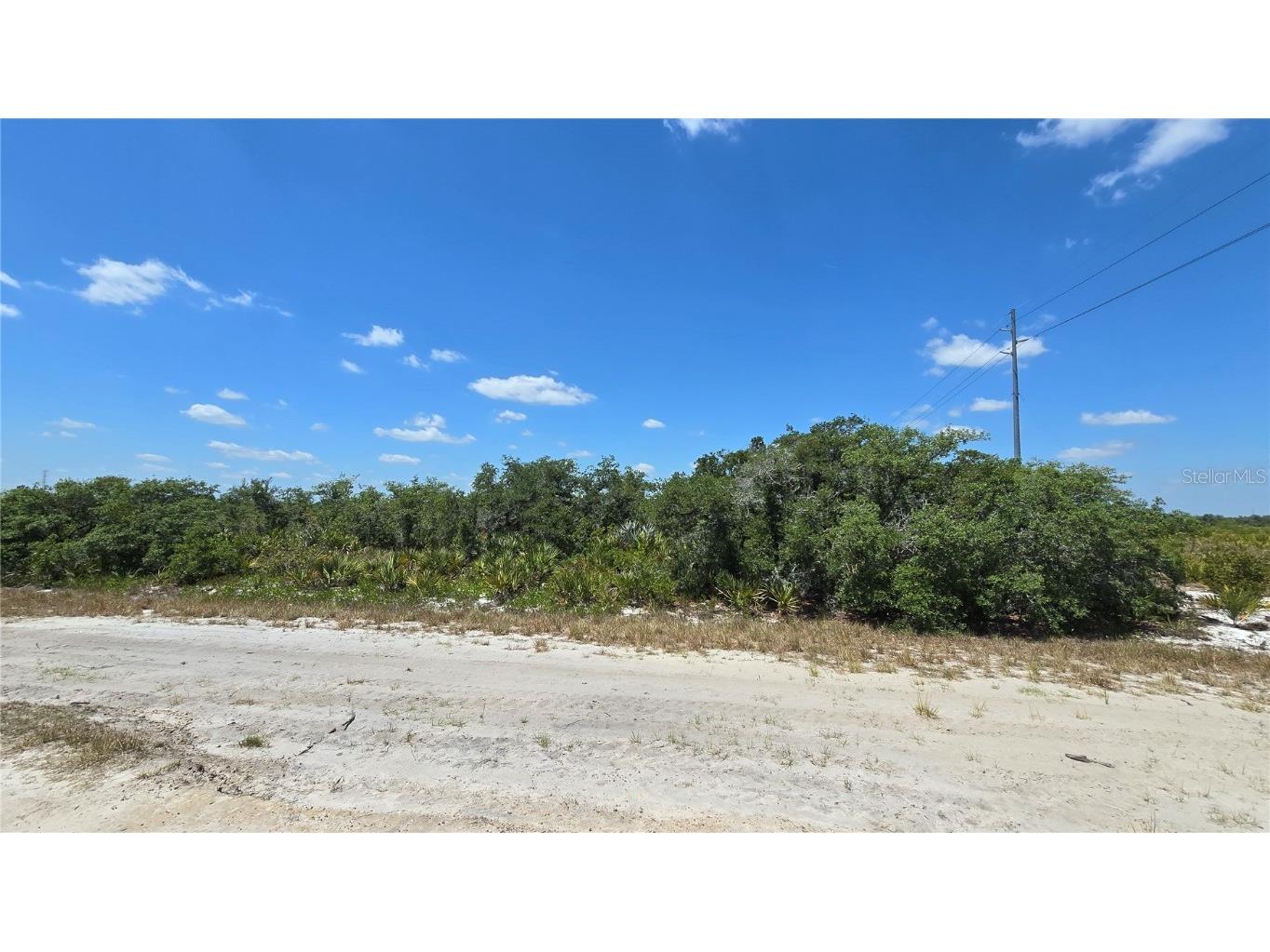 1400 S Reed Road Avon Park FL 33825 OM666632 image1