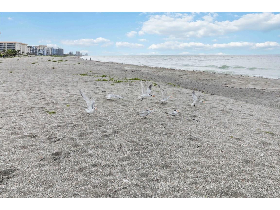 1400 Tarpon Center Drive #204 Venice FL 34285 A4664342 image47