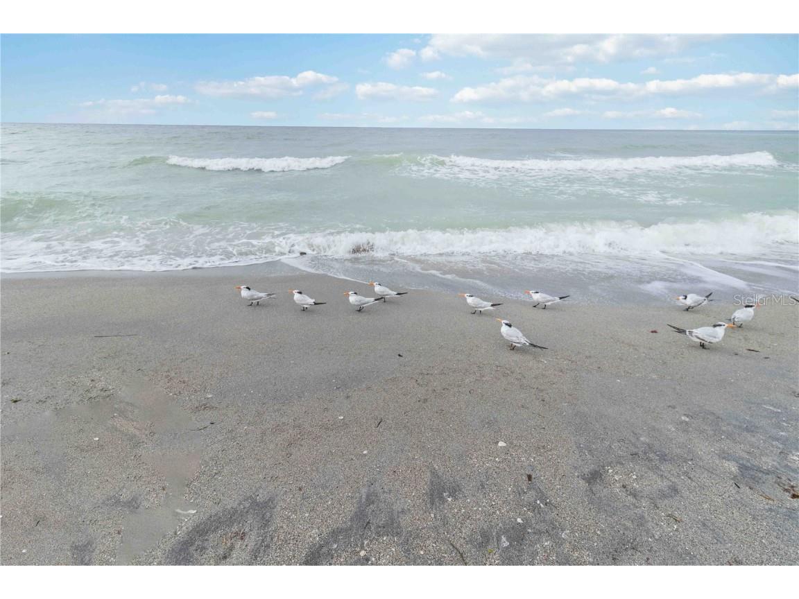 1400 Tarpon Center Drive #204 Venice FL 34285 A4664342 image48