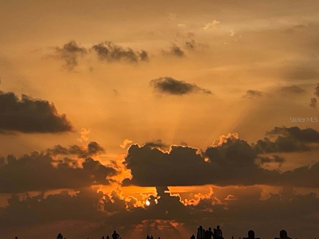 1400 Tarpon Center Drive #204 Venice FL 34285 A4664342 image72