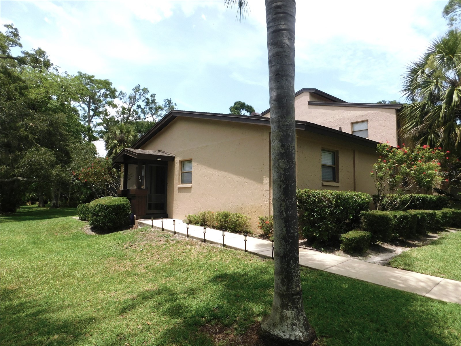 1400 Tarpon Woods Boulevard #1-4 Palm Harbor FL 34685 TB8514767 image1