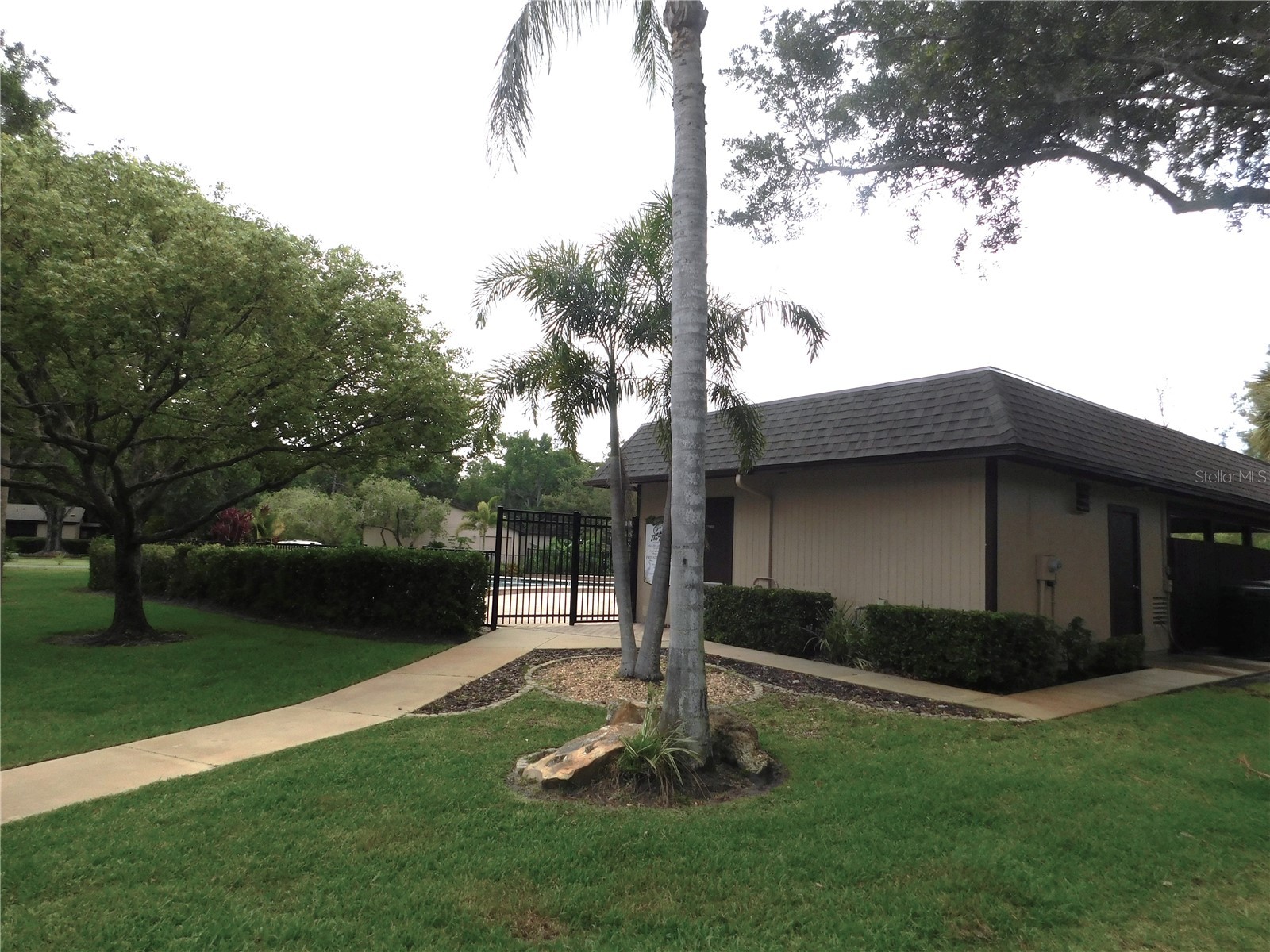 1400 Tarpon Woods Boulevard #1-4 Palm Harbor FL 34685 TB8514767 image21