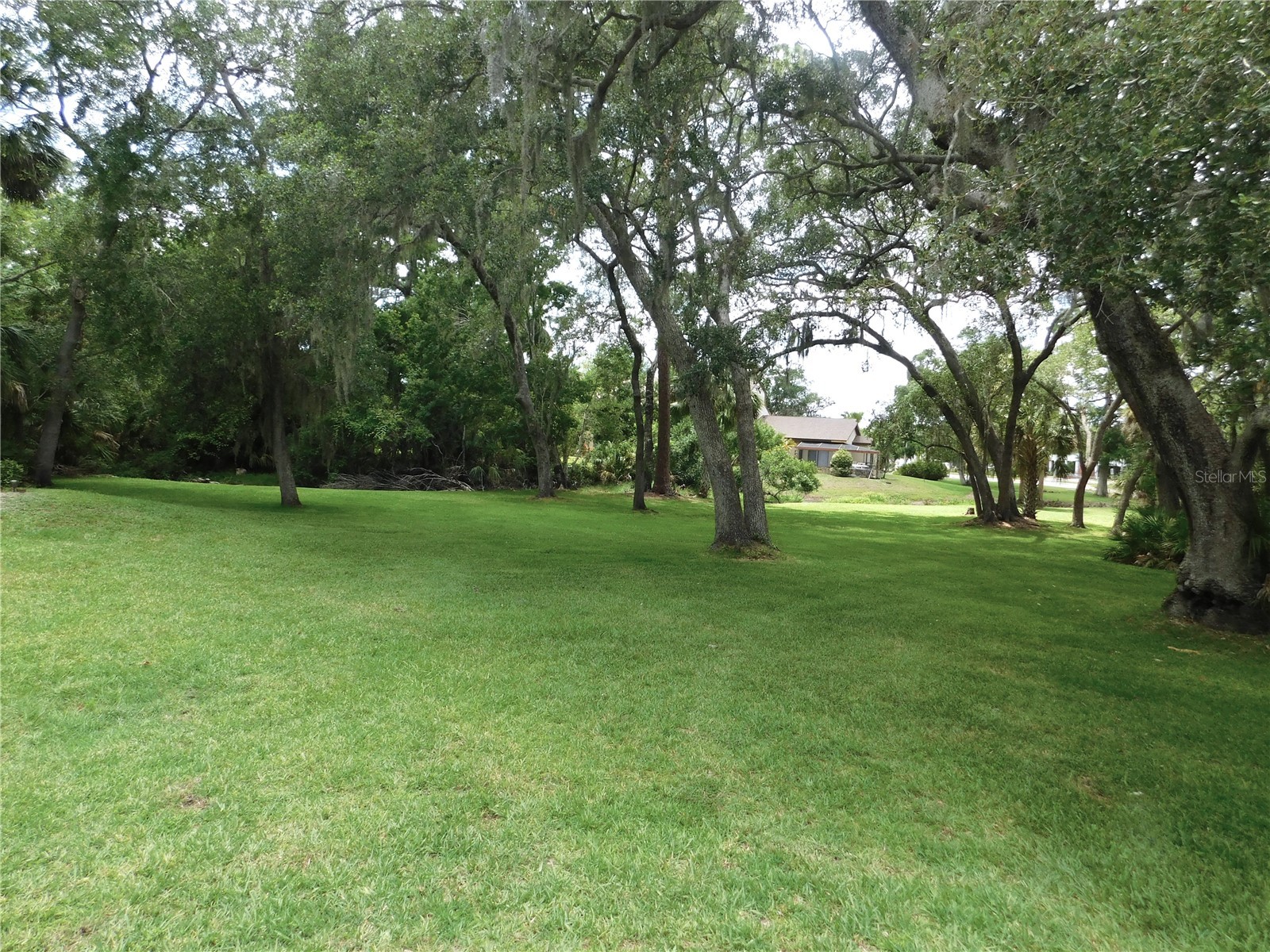 1400 Tarpon Woods Boulevard #1-4 Palm Harbor FL 34685 TB8514767 image3