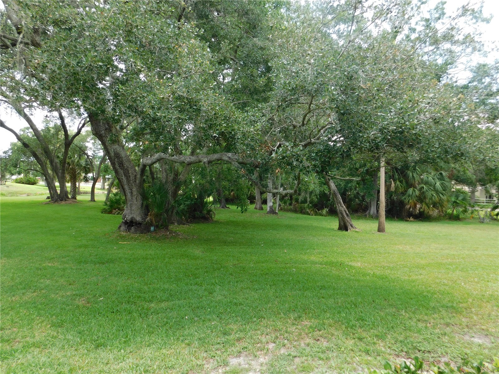 1400 Tarpon Woods Boulevard #1-4 Palm Harbor FL 34685 TB8514767 image4