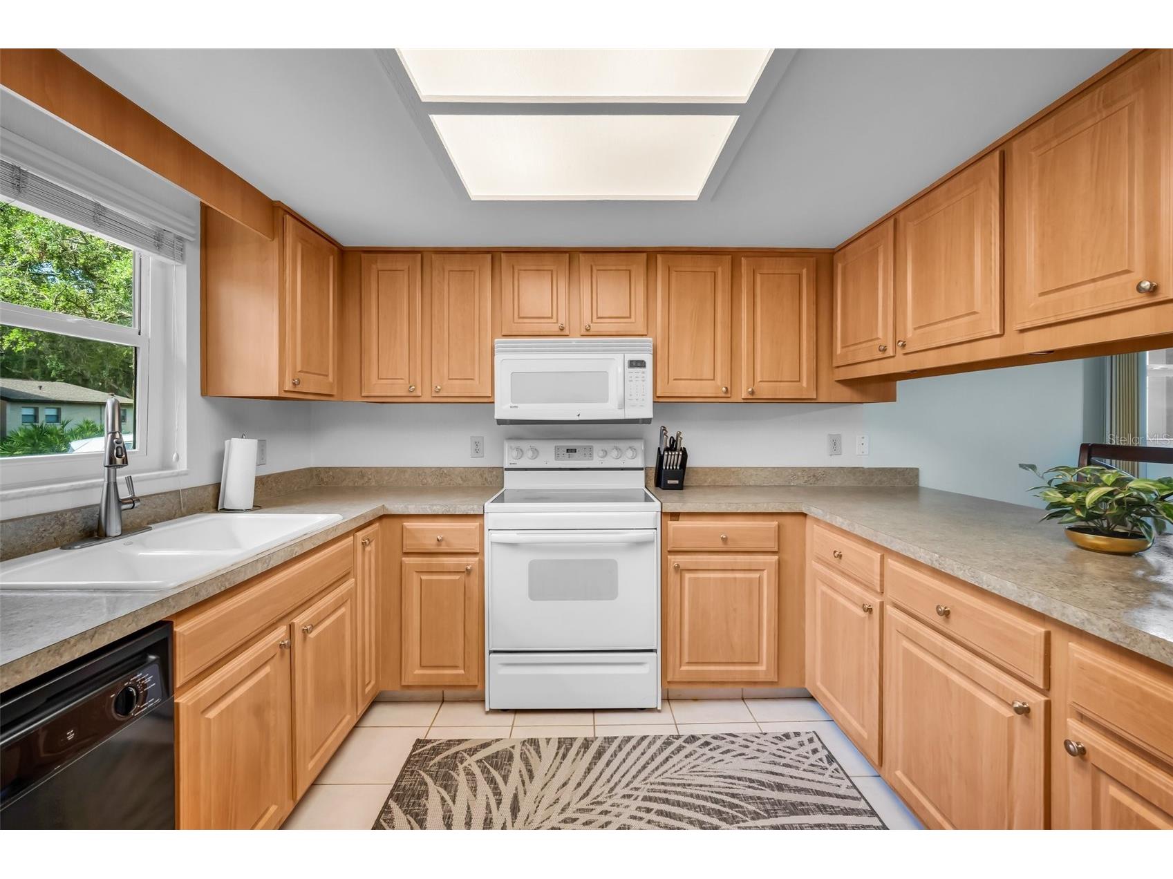 1400 Tarpon Woods Boulevard #A4 Palm Harbor FL 34685 TB8502191 image11