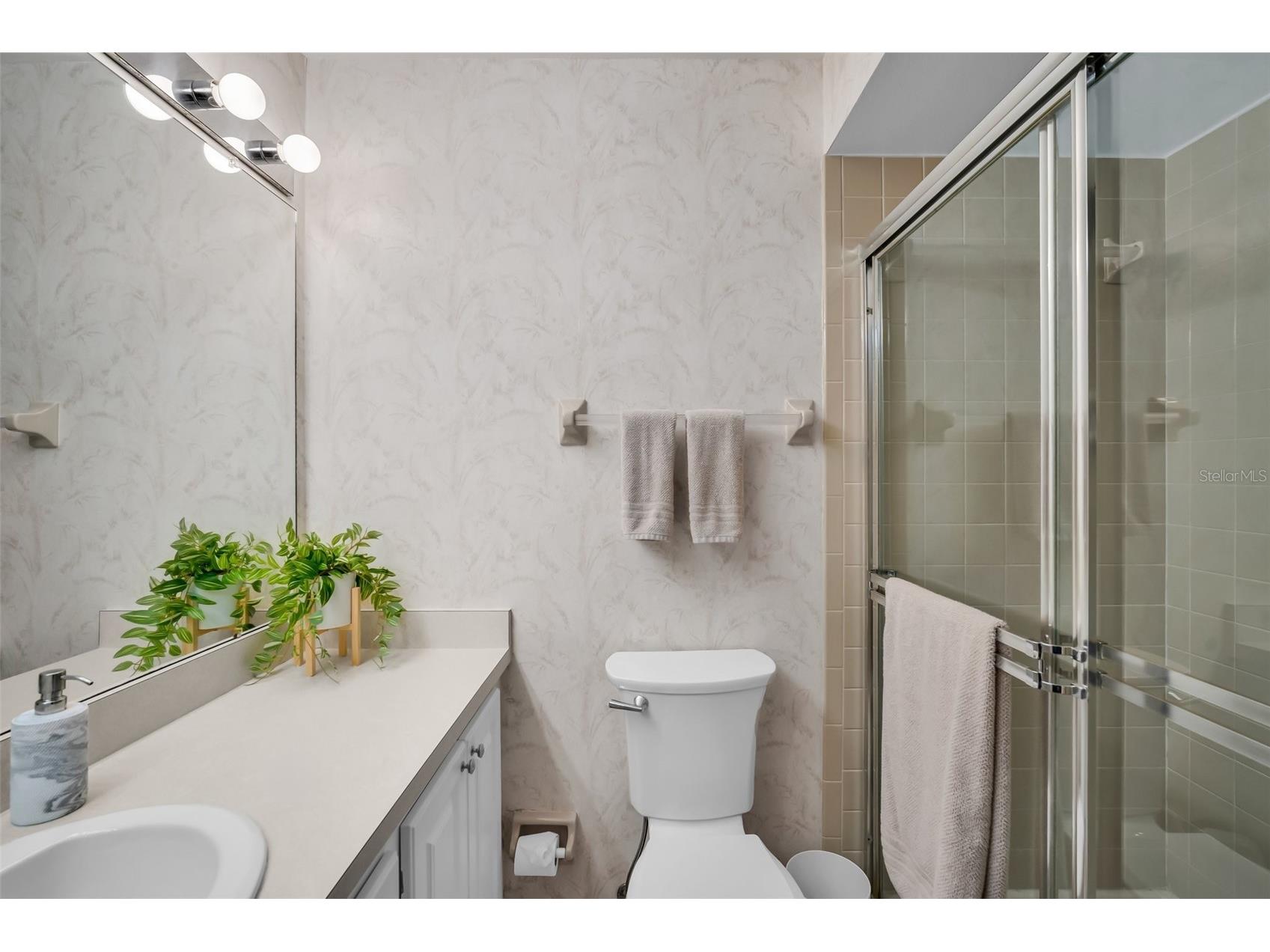 1400 Tarpon Woods Boulevard #A4 Palm Harbor FL 34685 TB8502191 image17