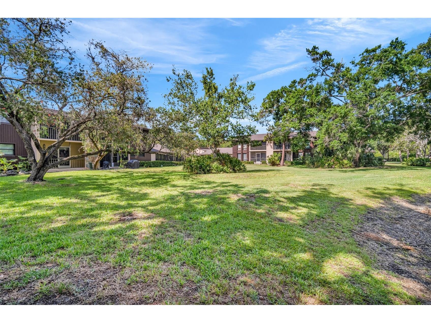 1400 Tarpon Woods Boulevard #A4 Palm Harbor FL 34685 TB8502191 image21