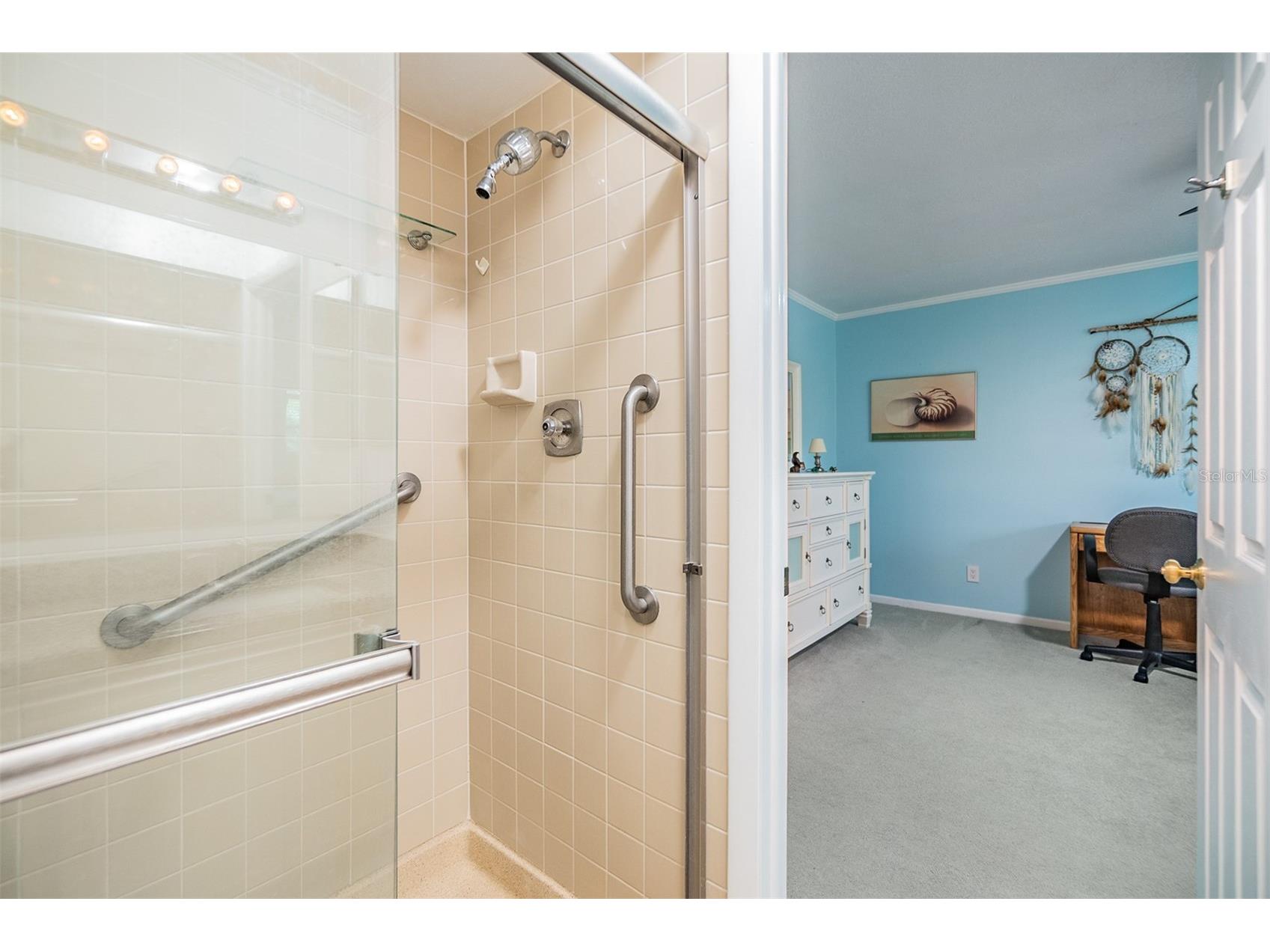 1400 Tarpon Woods Boulevard #E4 Palm Harbor FL 34685 TB8490390 image19