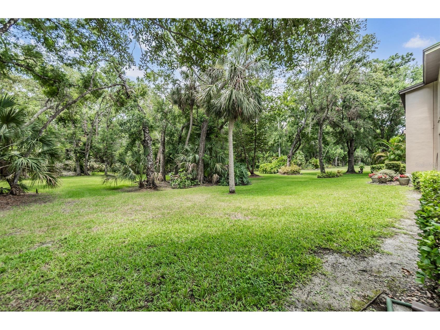 1400 Tarpon Woods Boulevard #E4 Palm Harbor FL 34685 TB8490390 image24