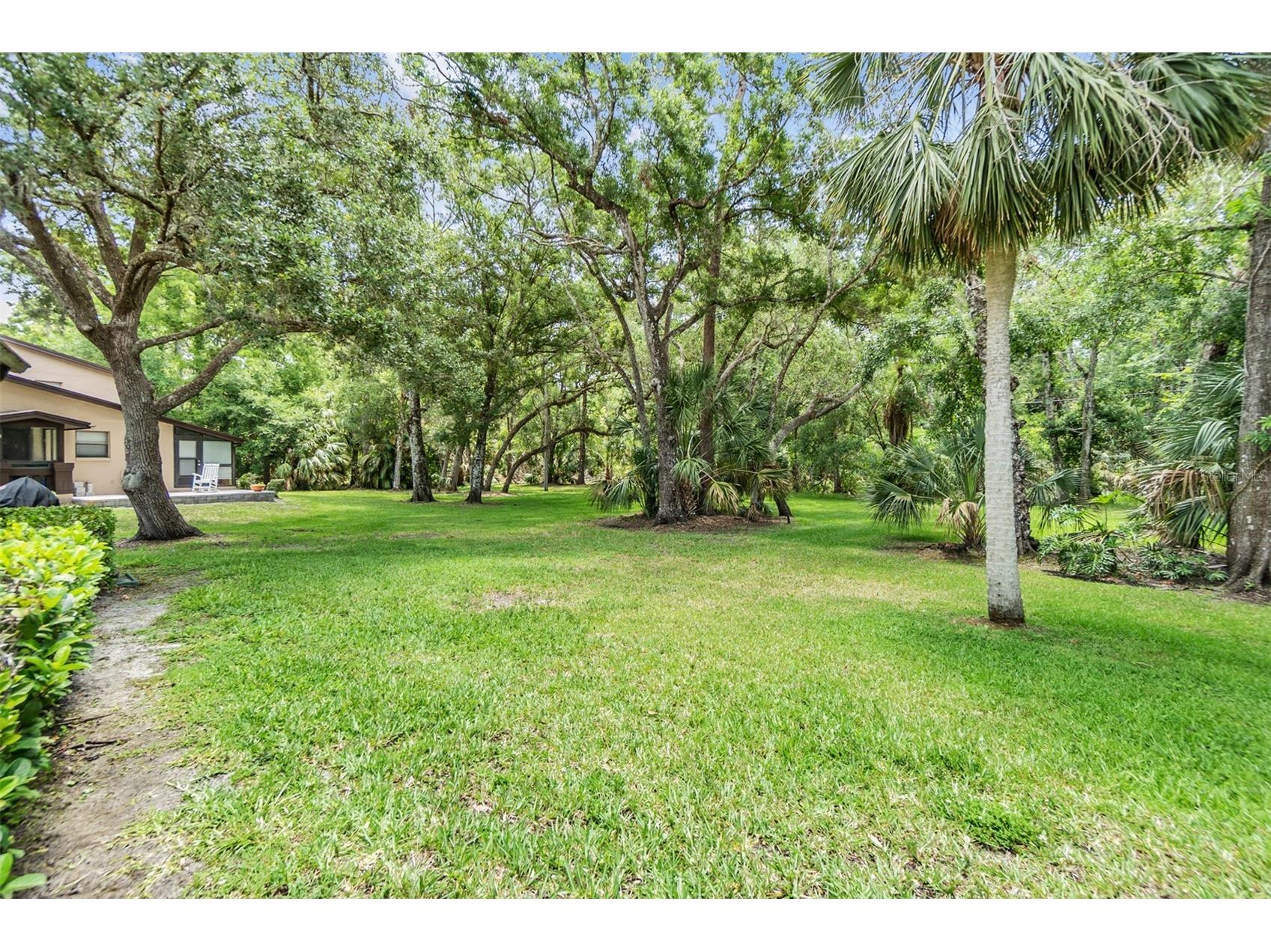 1400 Tarpon Woods Boulevard #E4 Palm Harbor FL 34685 TB8490390 image25