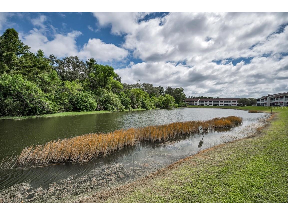 1400 Water View Drive W #104 Largo FL 33771 TB8433970 image45
