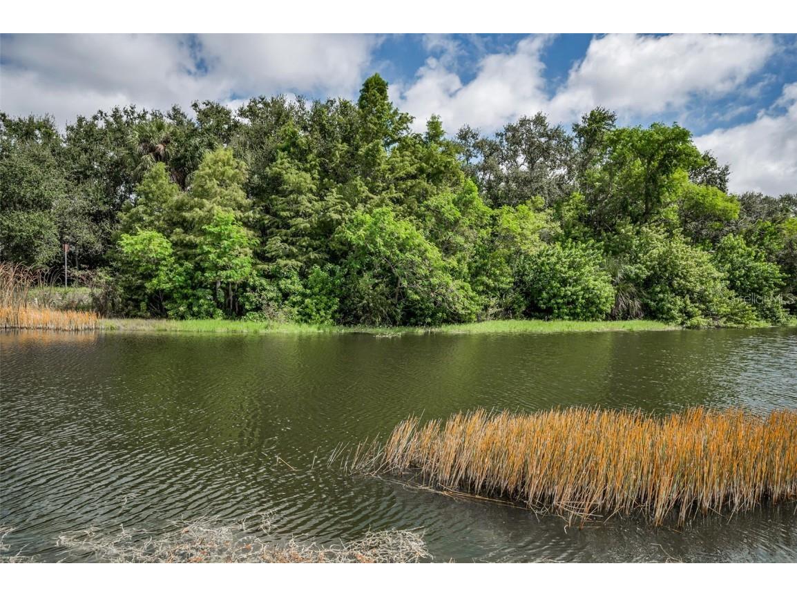 1400 Water View Drive W #104 Largo FL 33771 TB8433970 image46