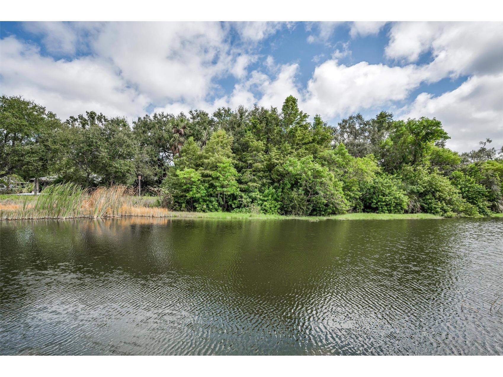 1400 Water View Drive W #104 Largo FL 33771 TB8517038 image1