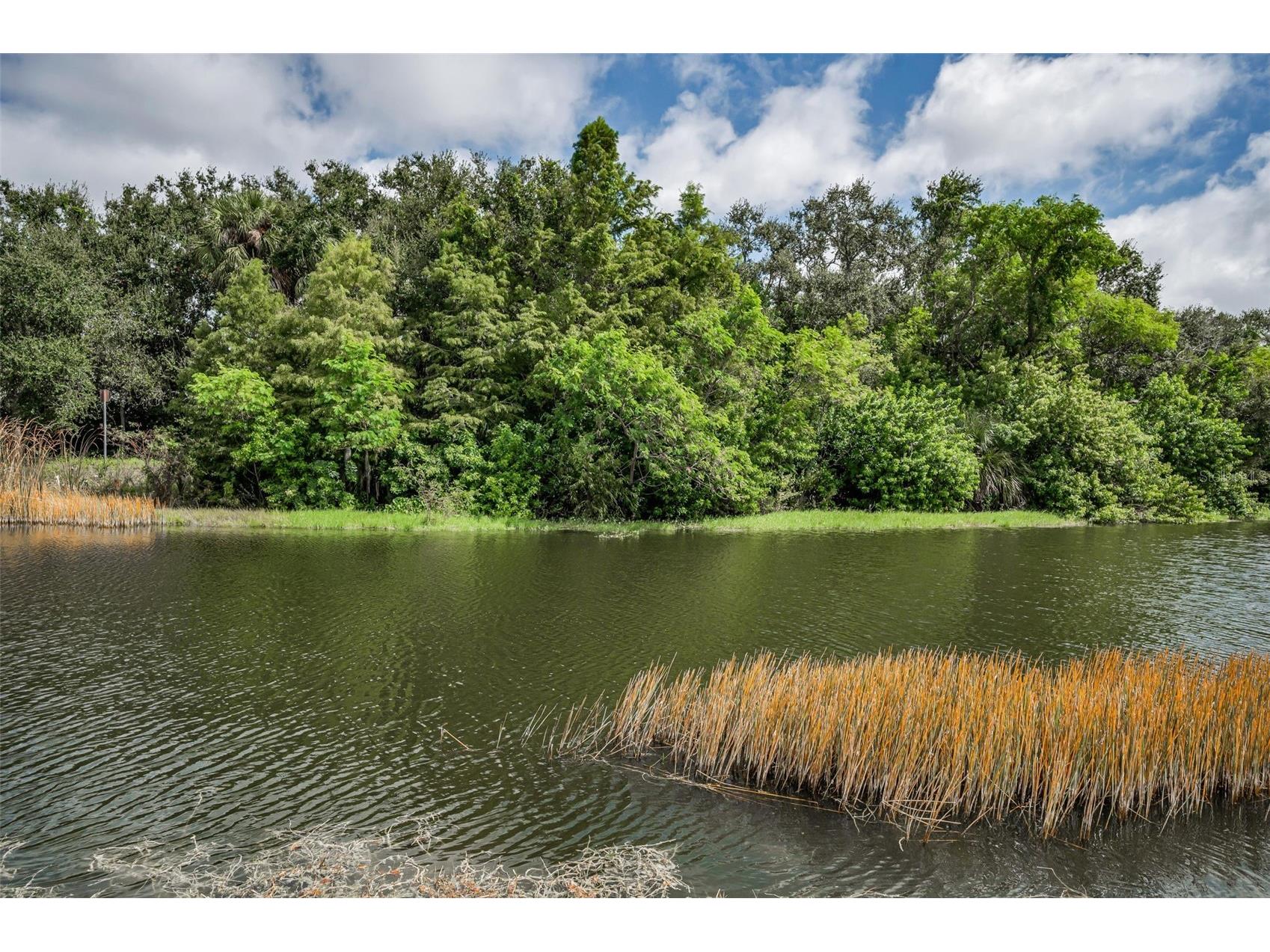 1400 Water View Drive W #104 Largo FL 33771 TB8517038 image43