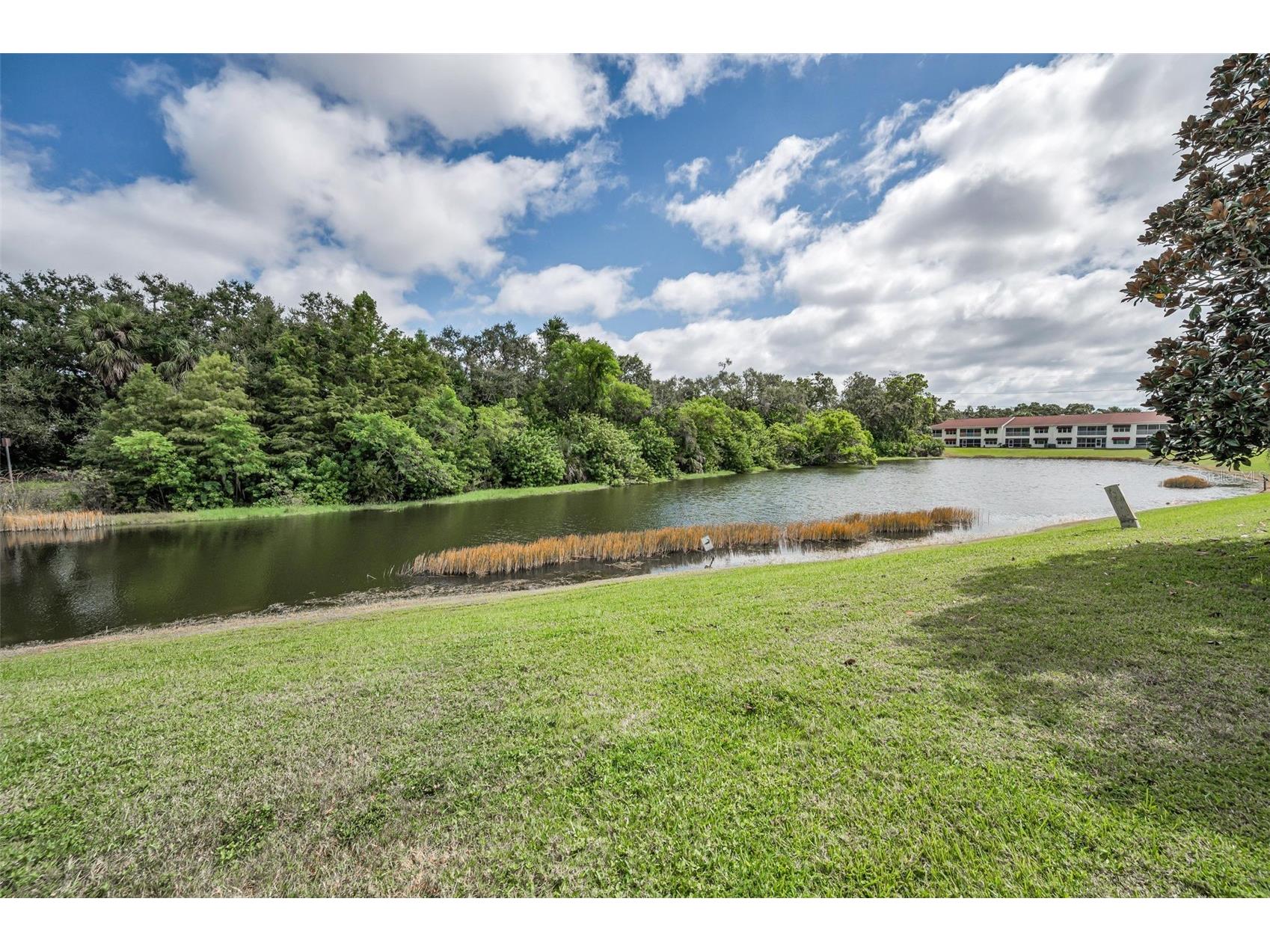 1400 Water View Drive W #104 Largo FL 33771 TB8517038 image44
