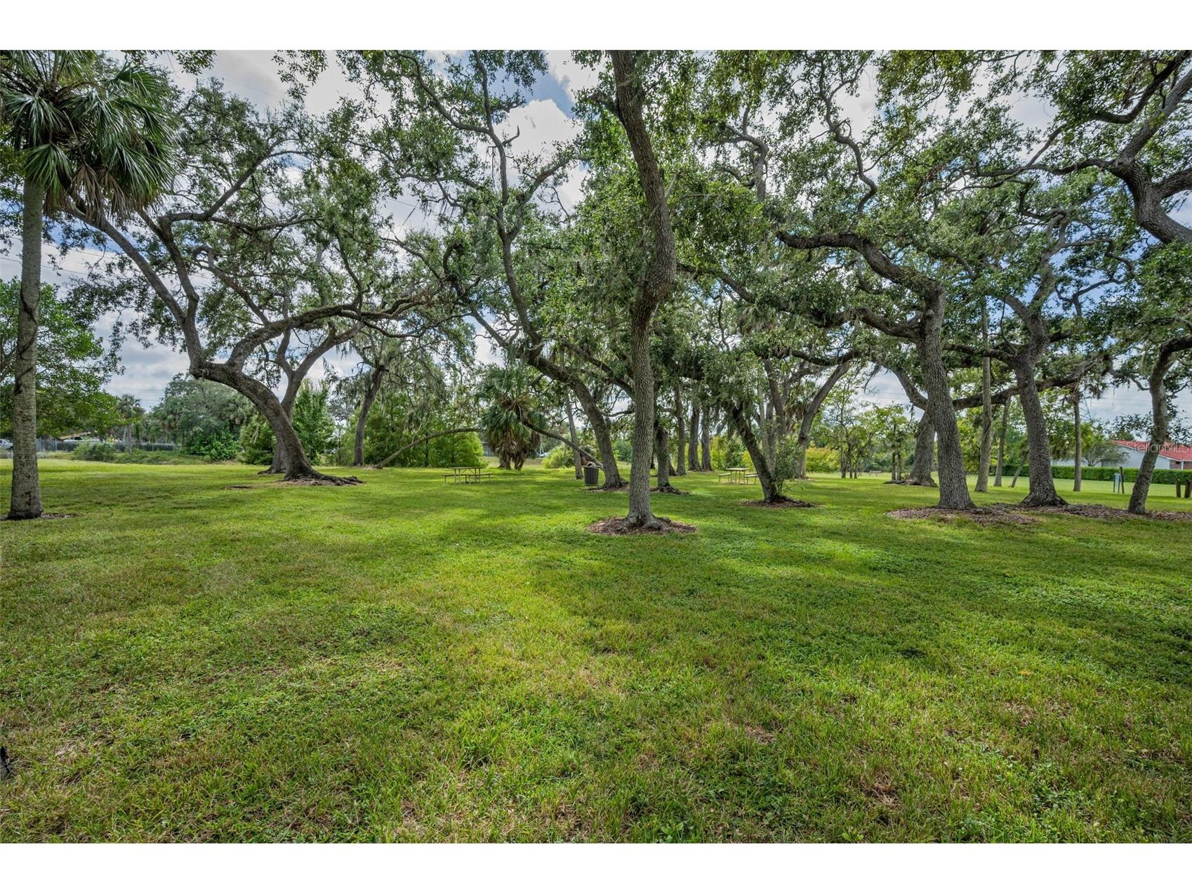 1400 Water View Drive W #202 Largo FL 33771 A4668596 image38