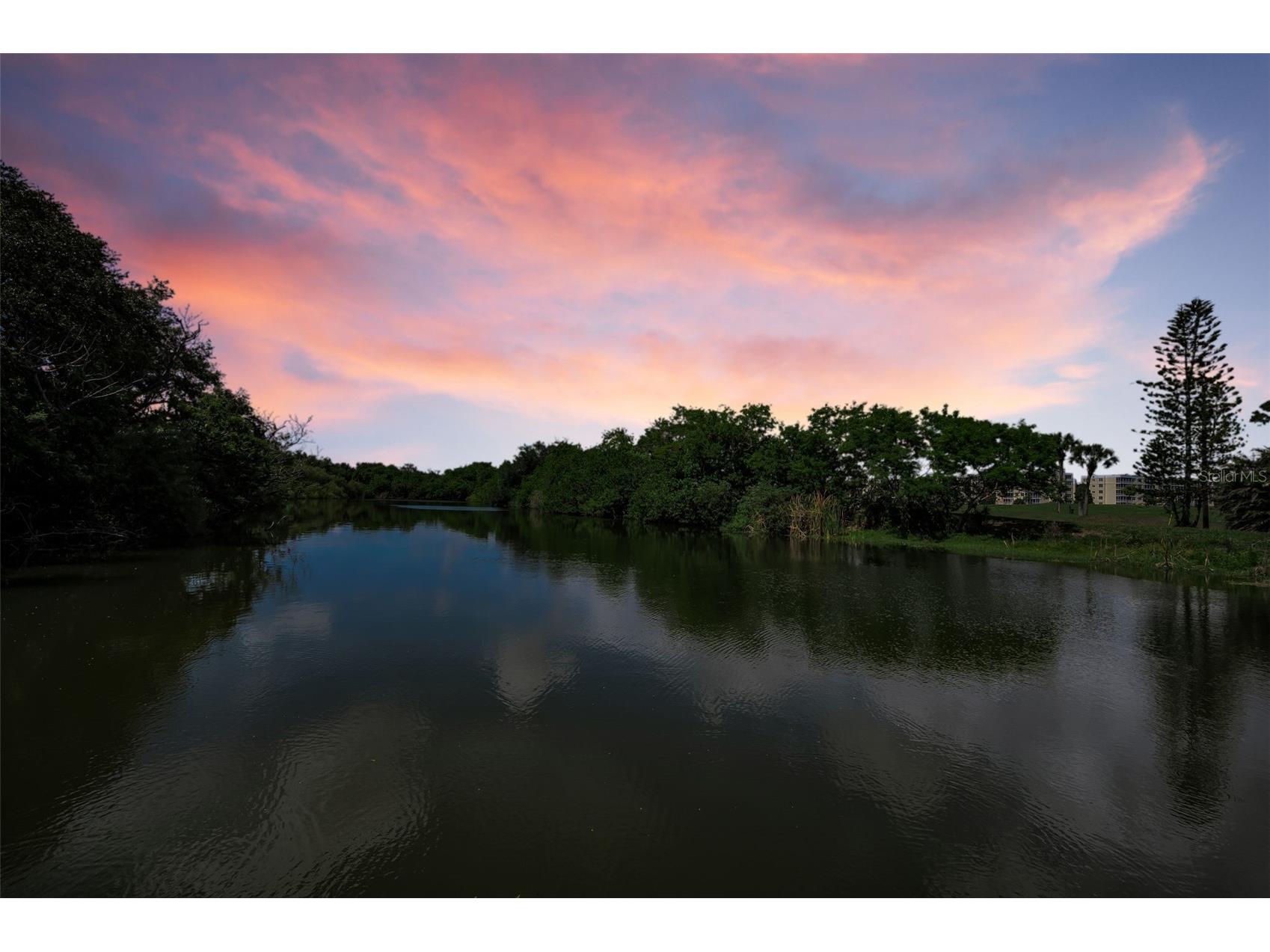 1400 Water View Drive W #202 Largo FL 33771 A4668596 image43