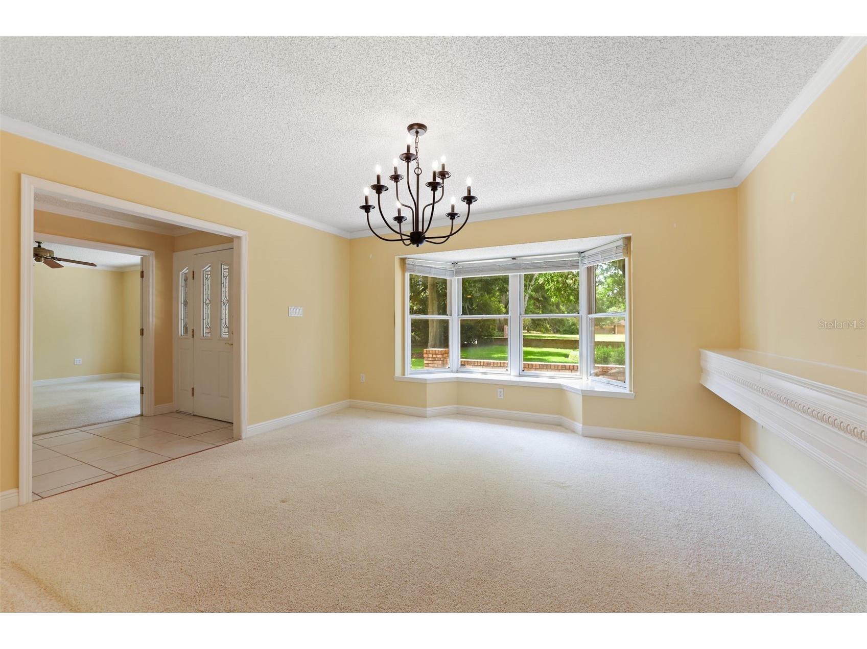14001 Country Estate Drive Winter Garden FL 34787 - LK TILDEN AND BLACK LAKE O6403044 image6