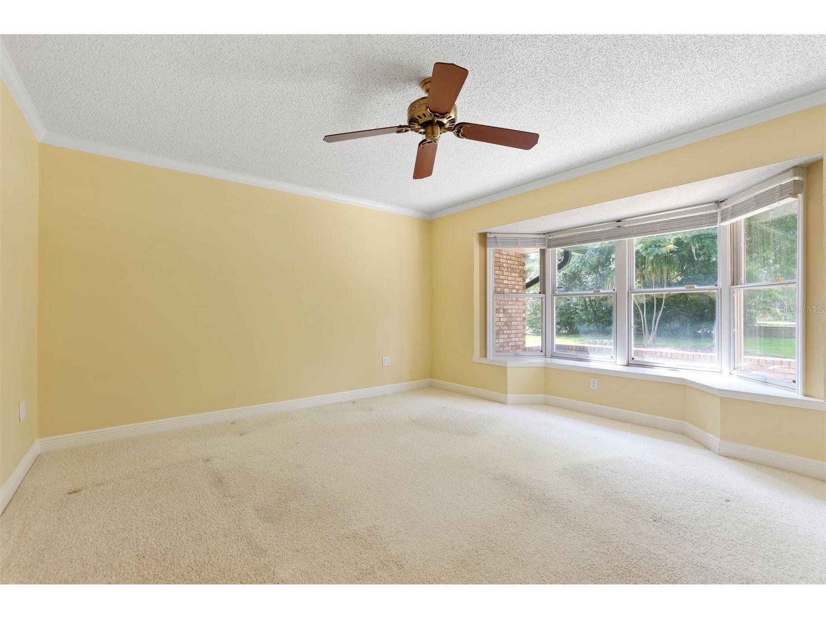 14001 Country Estate Drive Winter Garden FL 34787 - LK TILDEN AND BLACK LAKE O6403044 image7