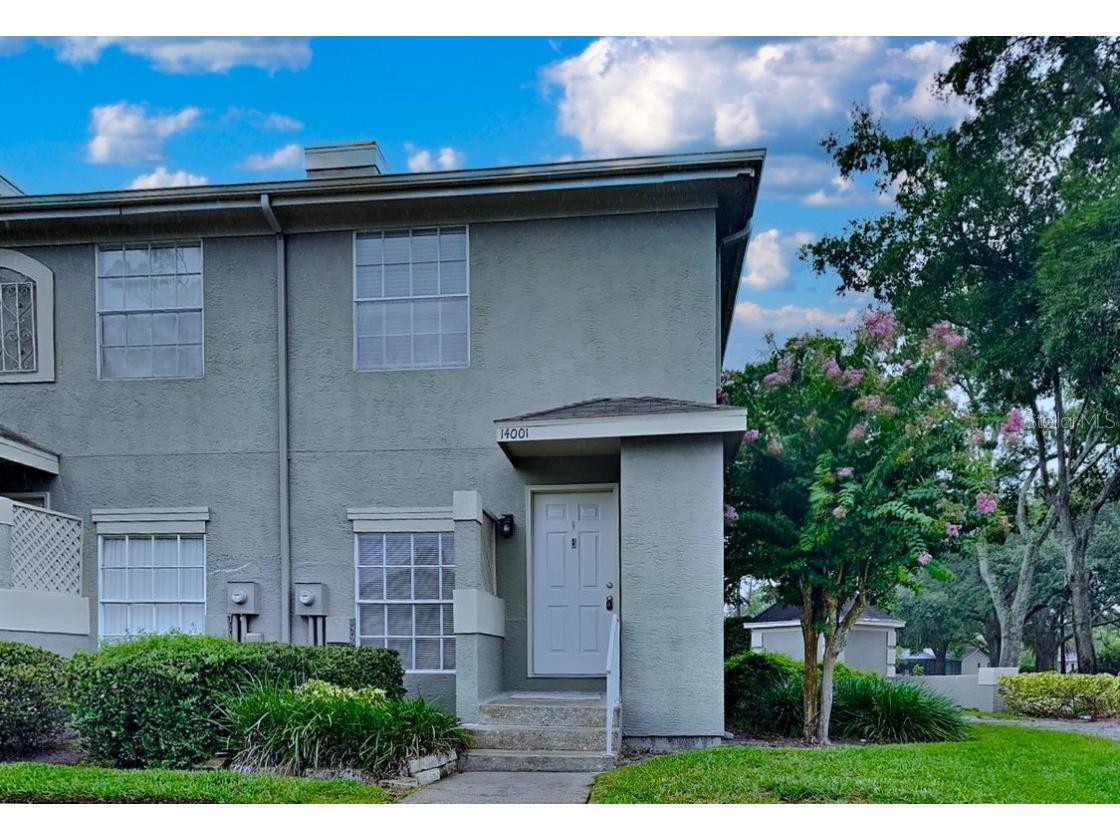 14001 Notreville Way Tampa FL 33624 T3537070 image1