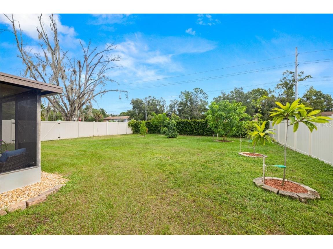 14002 Arbor Knoll Circle Tampa FL 33625 TB8435193 image29