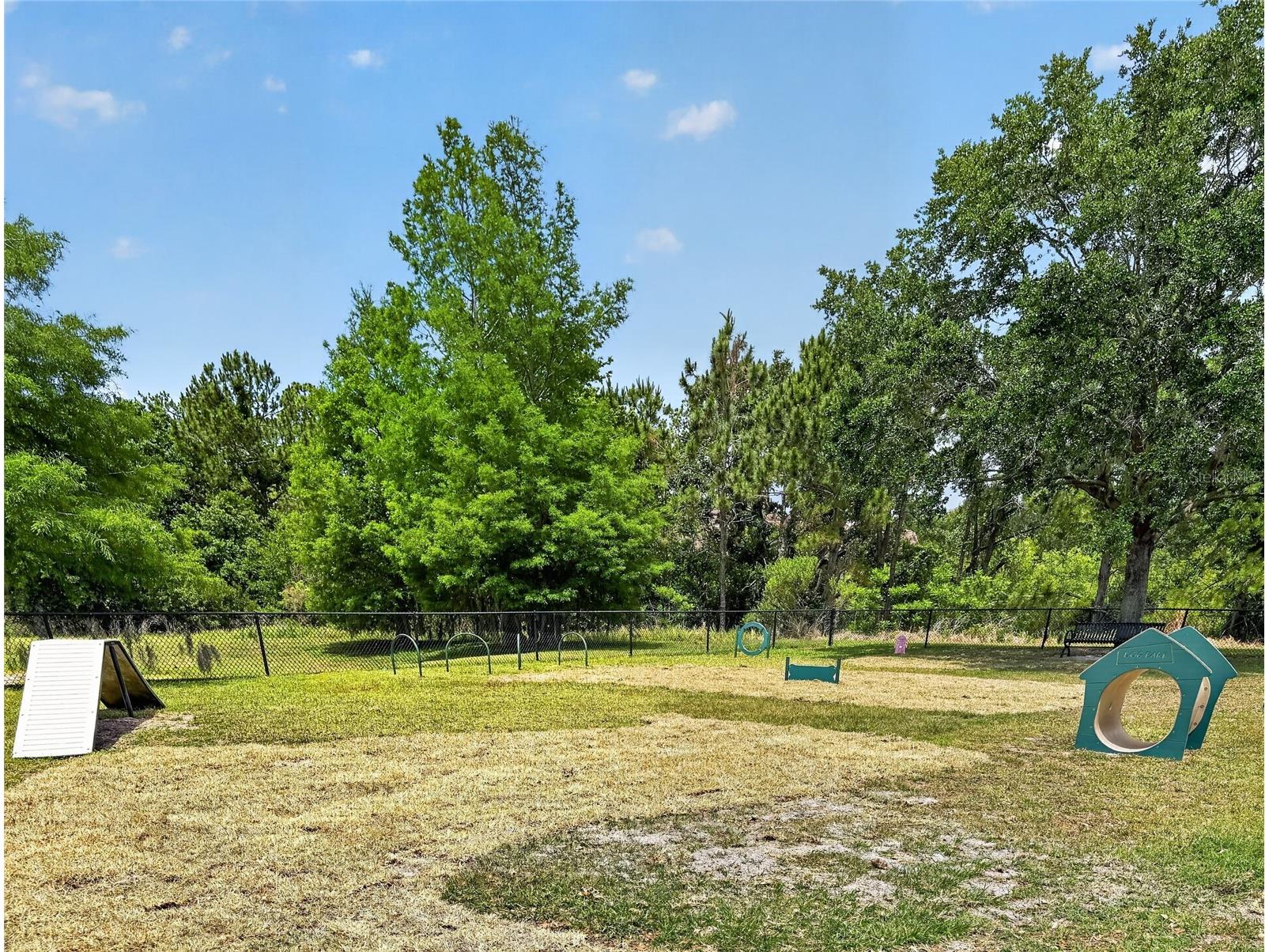 14002 Avenue Of The Groves Winter Garden FL 34787 S5149866 image37
