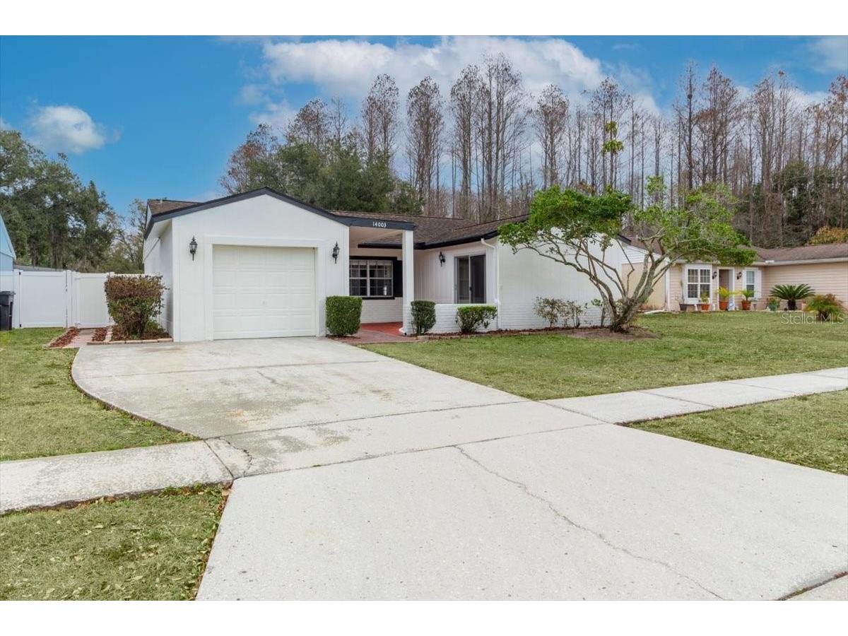 14003 Basin Street Tampa FL 33625 TB8491014 image32