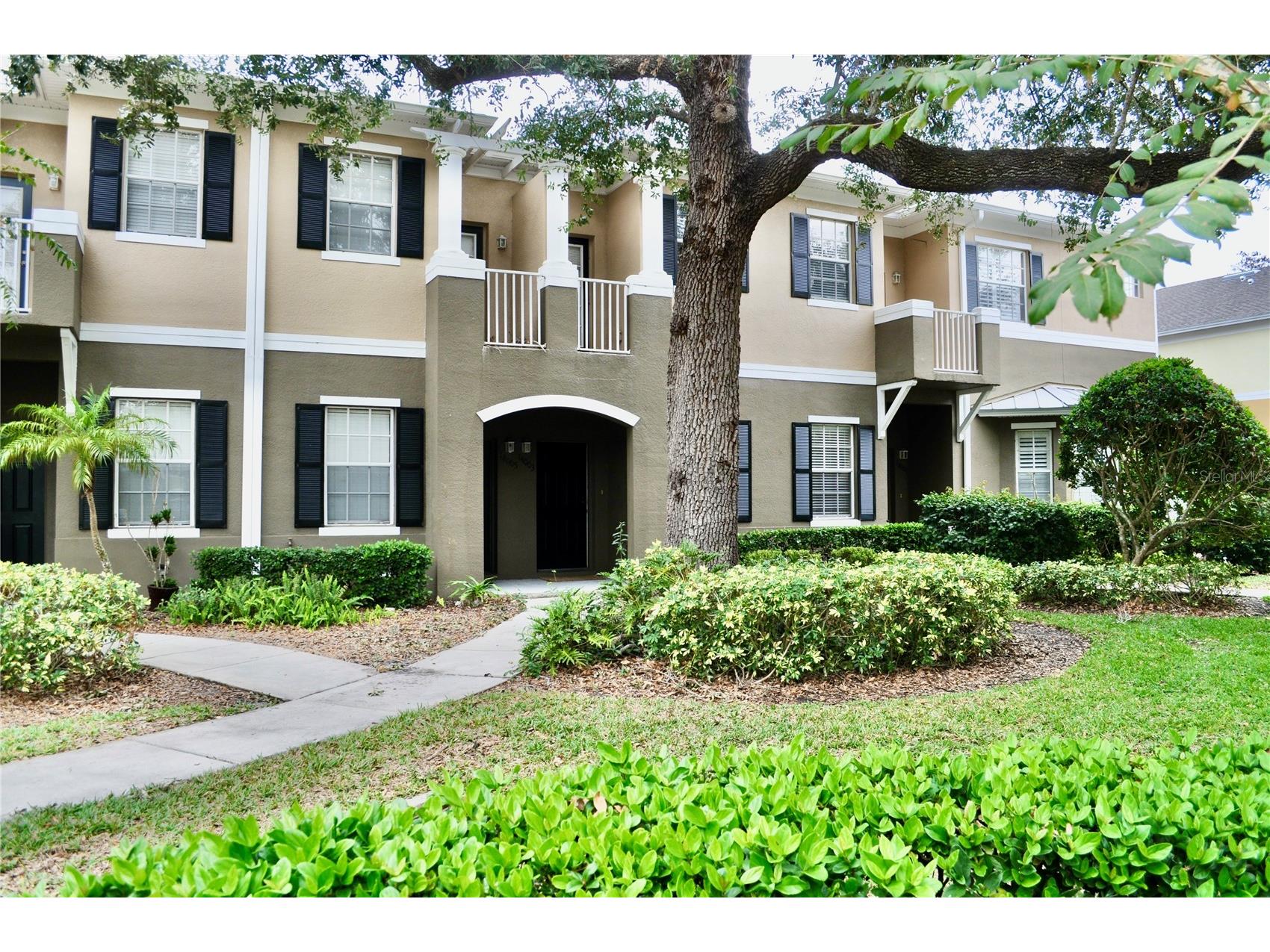 14003 Citrus Crest Circle Tampa FL 33625 TB8339665 image1