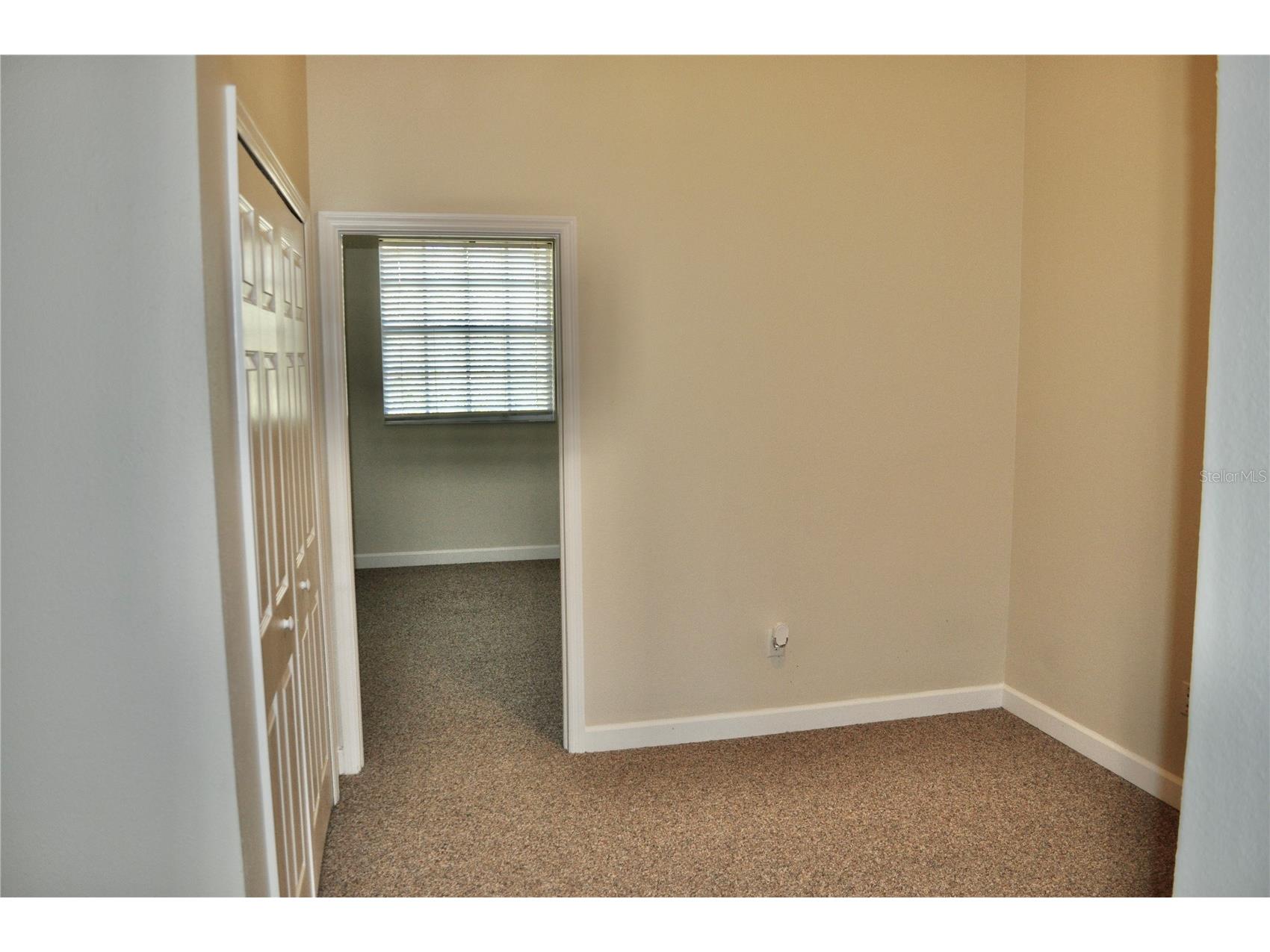 14003 Citrus Crest Circle Tampa FL 33625 TB8339665 image20