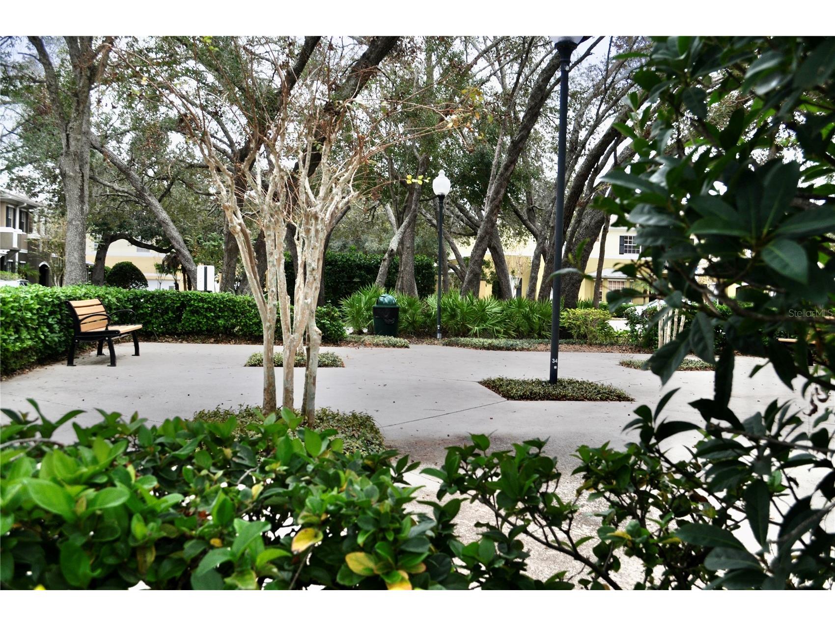 14003 Citrus Crest Circle Tampa FL 33625 TB8339665 image35