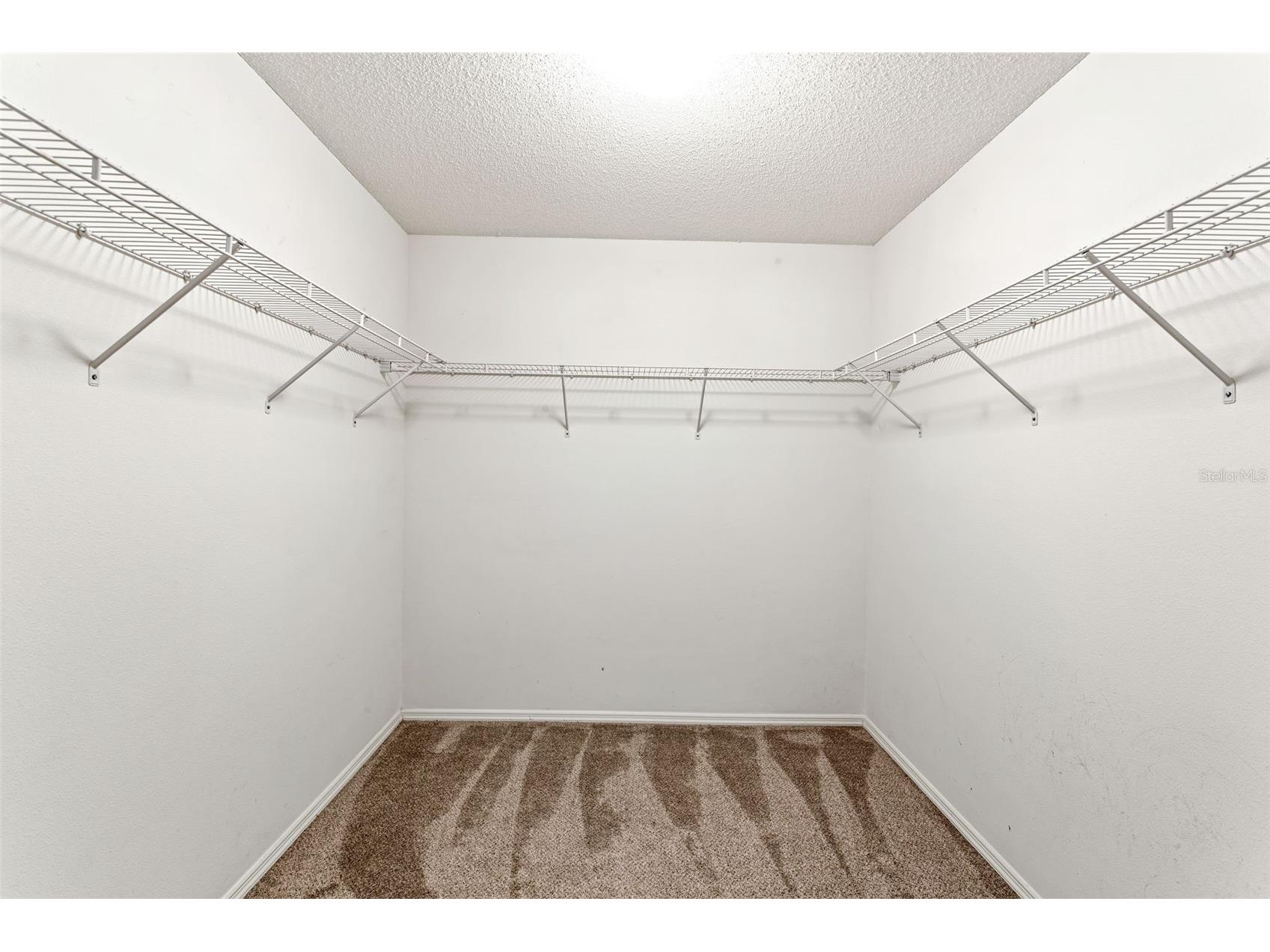 14004 Noble Park Drive Odessa FL 33556 TB8494280 image29