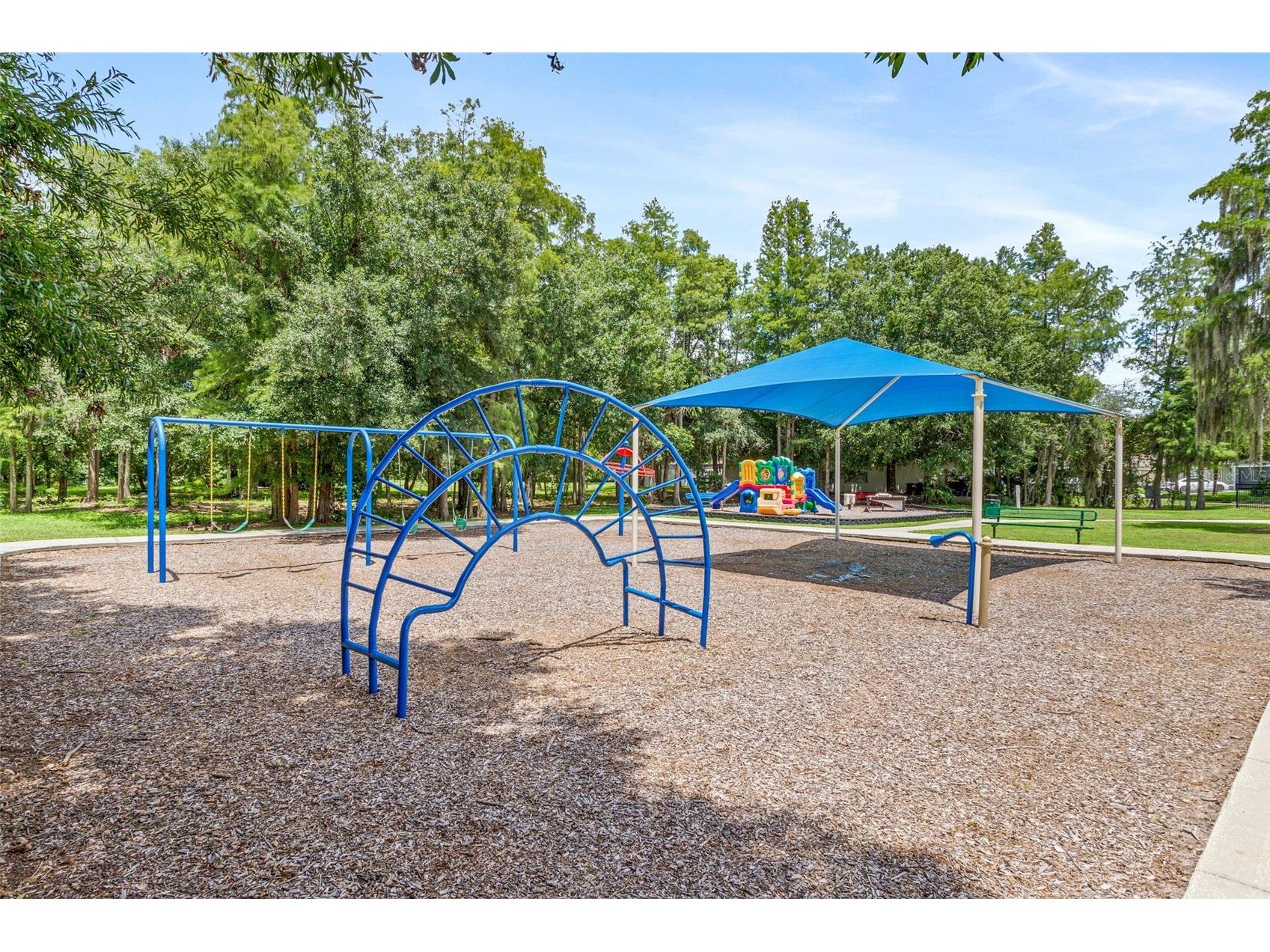 14004 Noble Park Drive Odessa FL 33556 TB8494280 image39