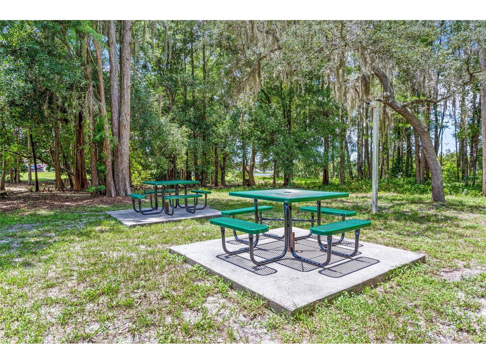 14004 Noble Park Drive Odessa FL 33556 TB8494280 image40