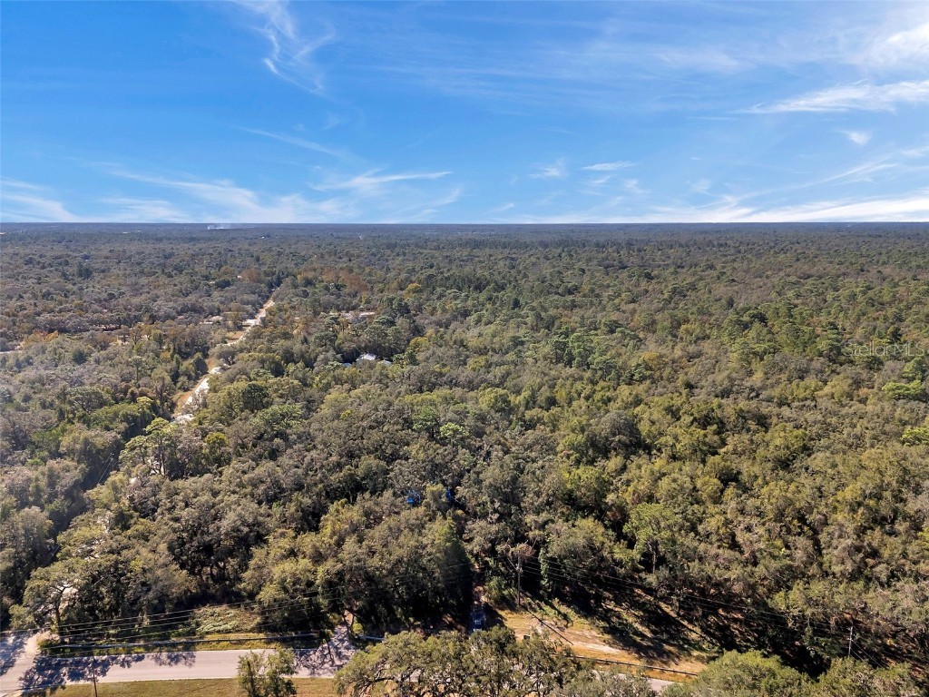 14004 Peace Boulevard Spring Hill FL 34610 TB8317640 image1