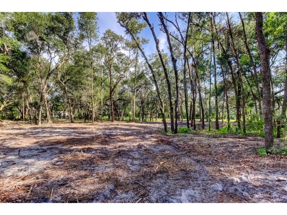 14004 Peace Boulevard Spring Hill FL 34610 TB8416692 image10