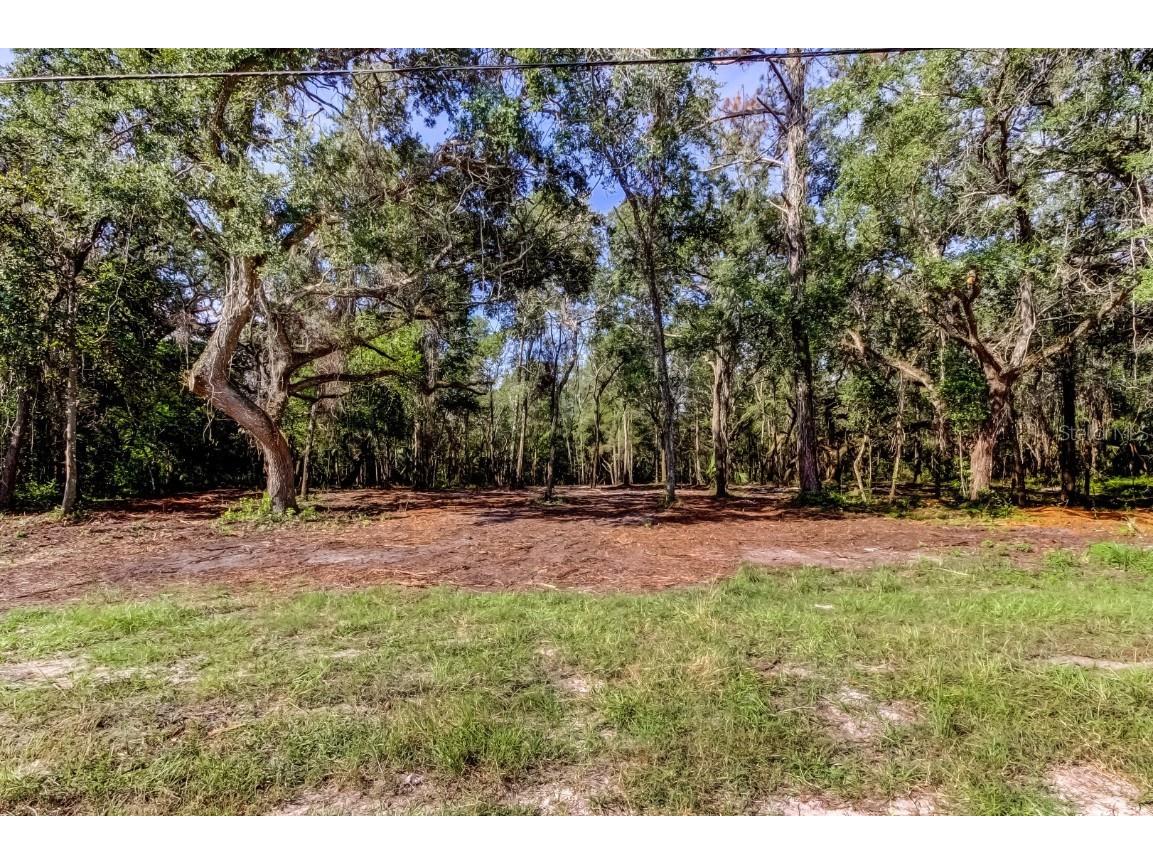 14004 Peace Boulevard Spring Hill FL 34610 TB8416692 image12