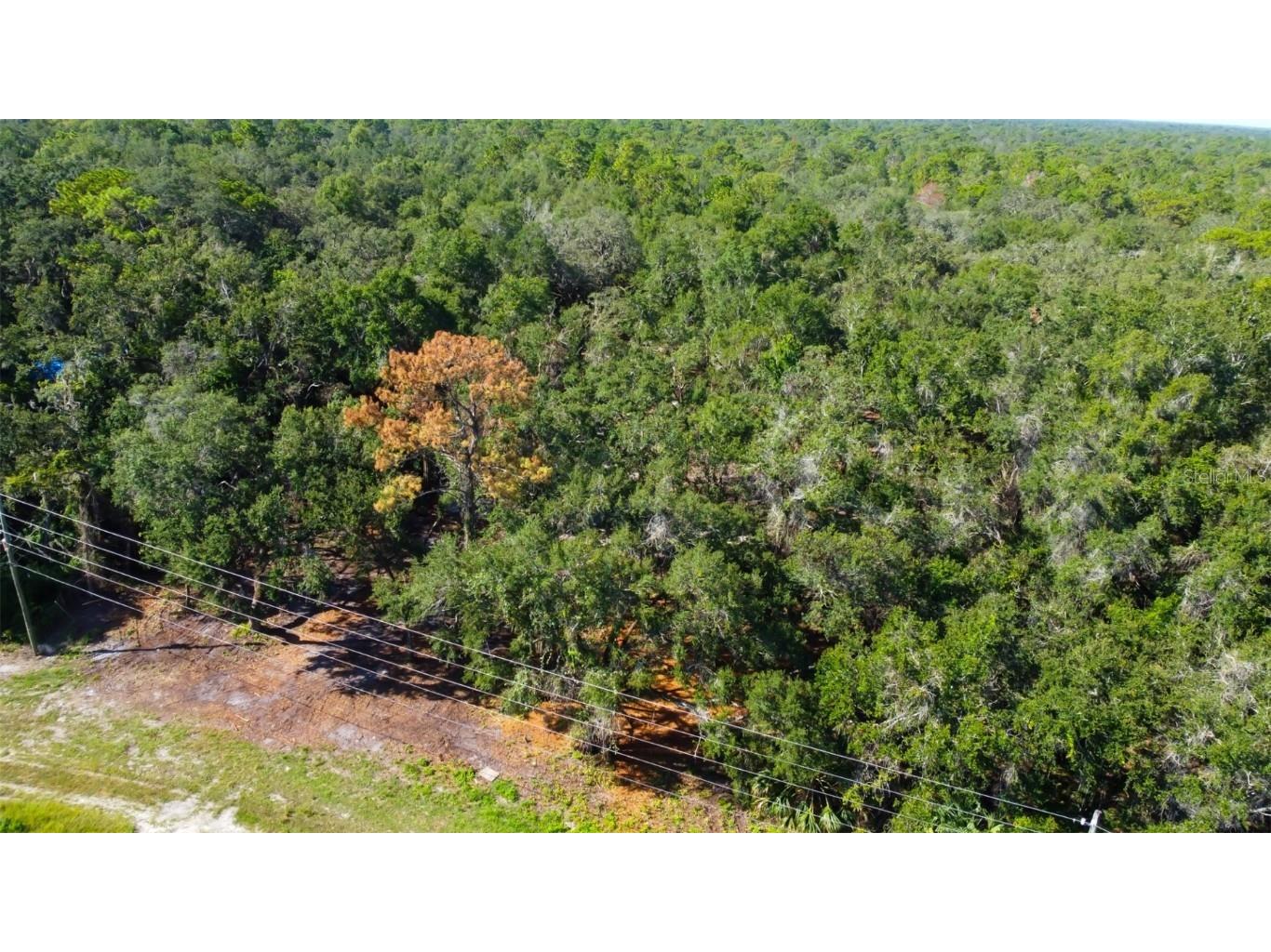 14004 Peace Boulevard Spring Hill FL 34610 TB8416692 image14