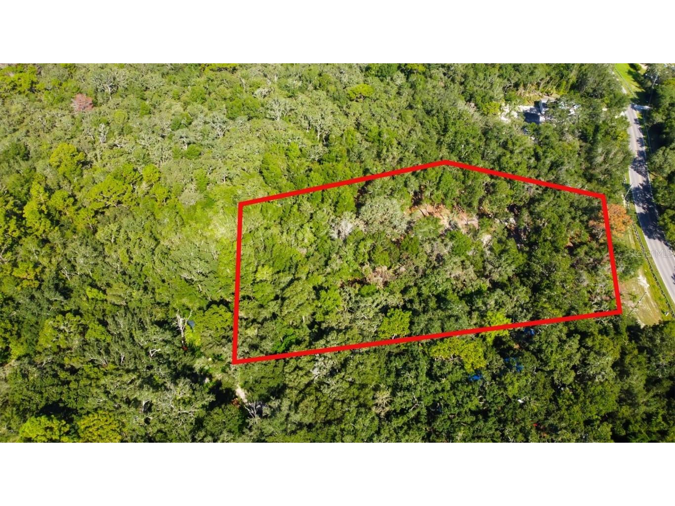 14004 Peace Boulevard Spring Hill FL 34610 TB8416692 image18