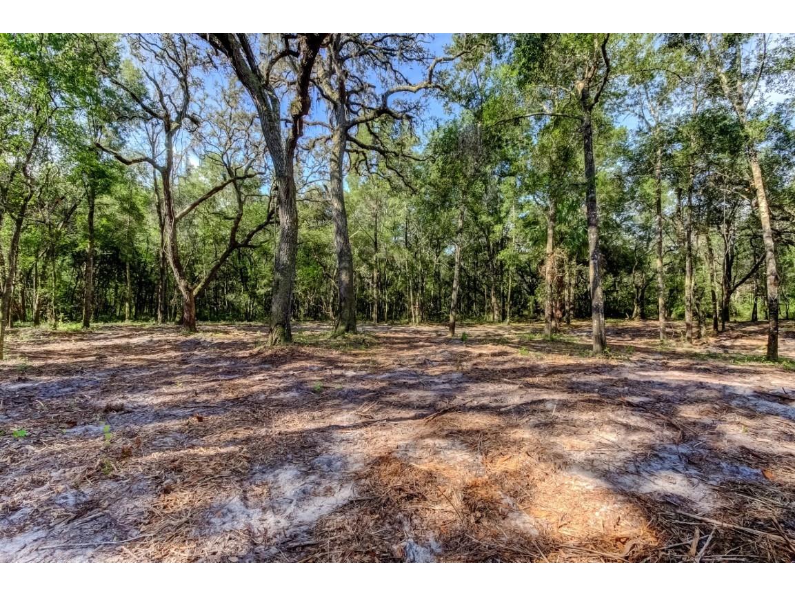 14004 Peace Boulevard Spring Hill FL 34610 TB8416692 image2