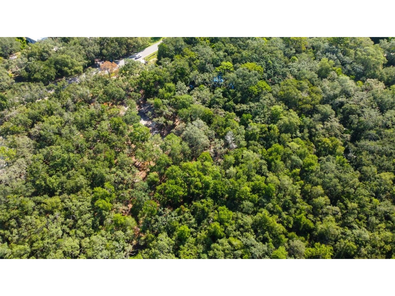 14004 Peace Boulevard Spring Hill FL 34610 TB8416692 image20