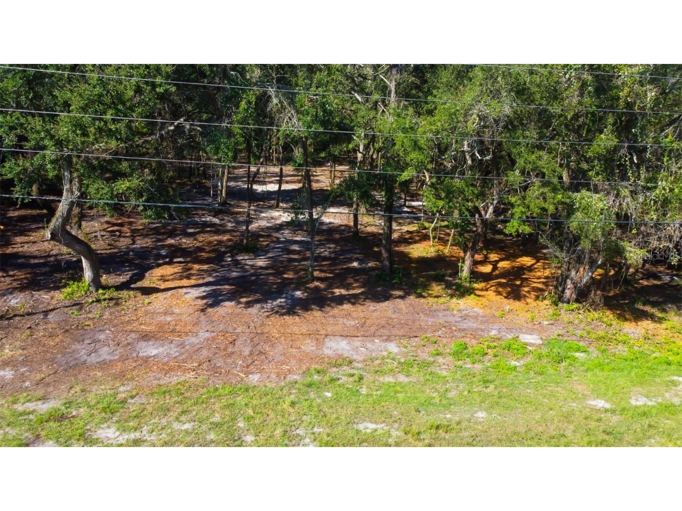 14004 Peace Boulevard Spring Hill FL 34610 TB8416692 image3