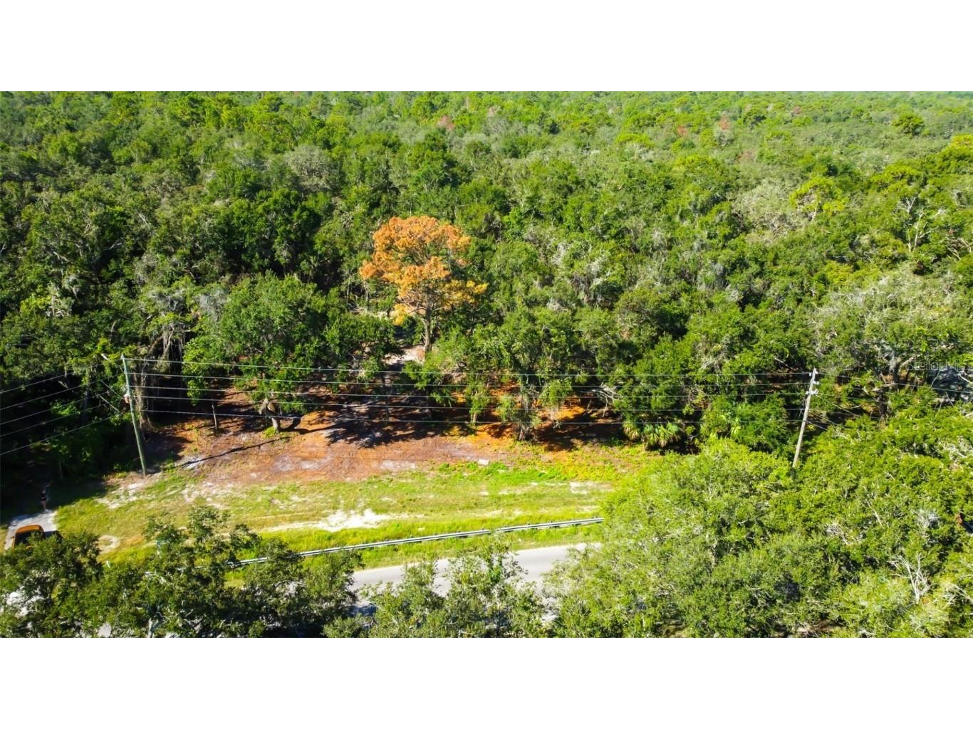 14004 Peace Boulevard Spring Hill FL 34610 TB8416692 image4