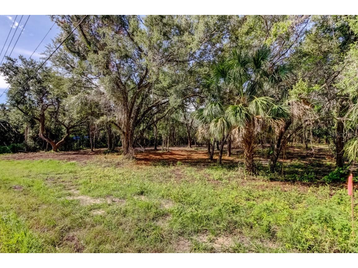 14004 Peace Boulevard Spring Hill FL 34610 TB8416692 image5