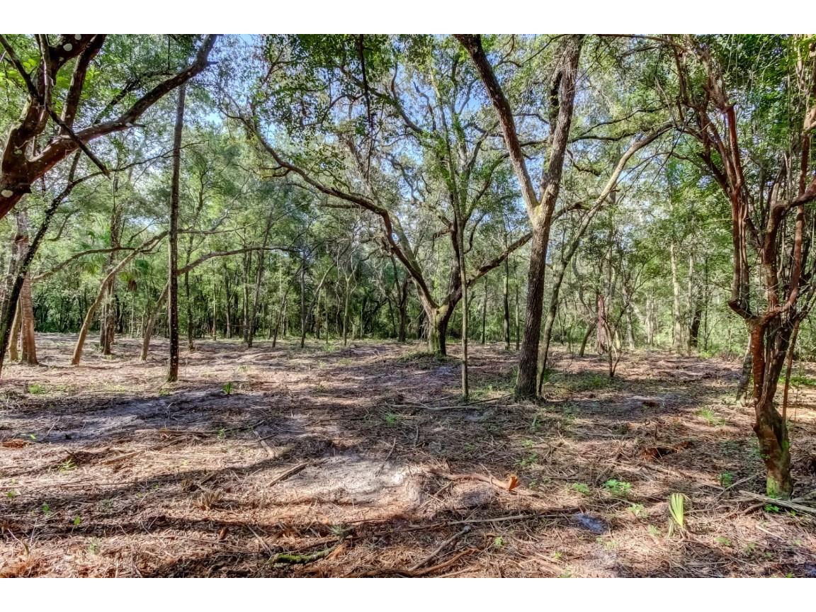 14004 Peace Boulevard Spring Hill FL 34610 TB8416692 image6