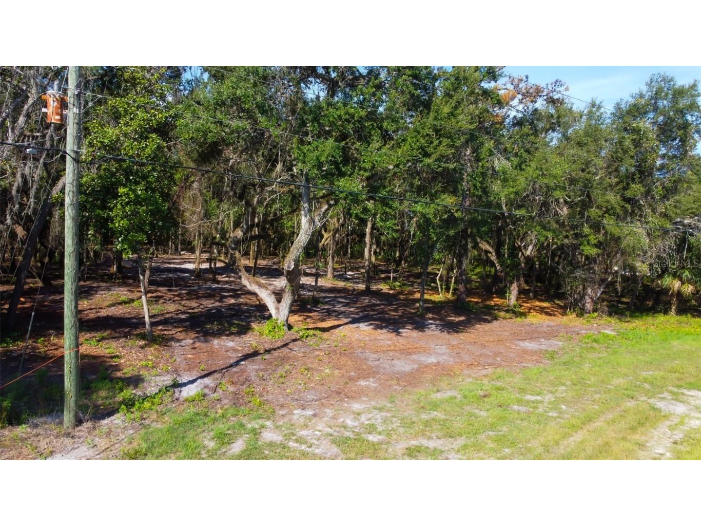 14004 Peace Boulevard Spring Hill FL 34610 TB8416692 image8