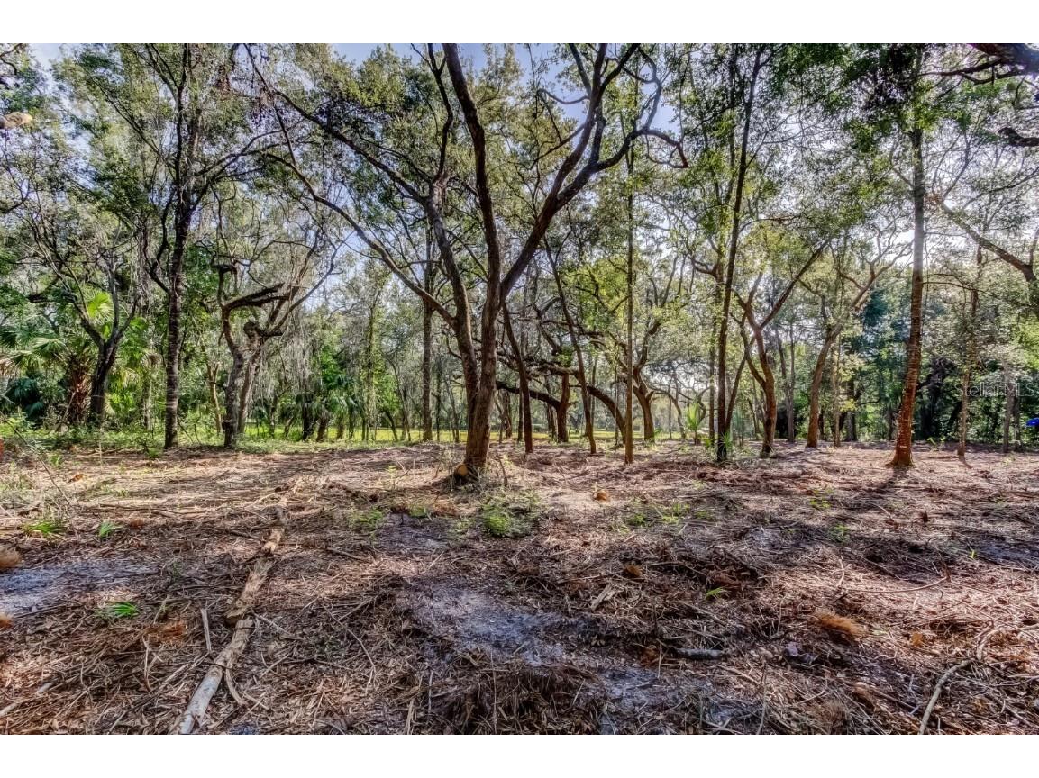 14004 Peace Boulevard Spring Hill FL 34610 TB8416692 image9