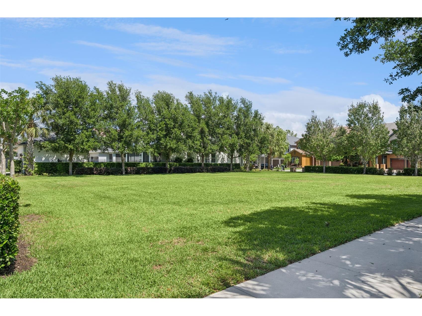 14005 Aldford Drive Winter Garden FL 34787 O6401397 image42